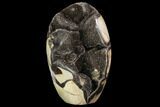Free-Standing, Polished Septarian Geode - Black Crystals #99450-1